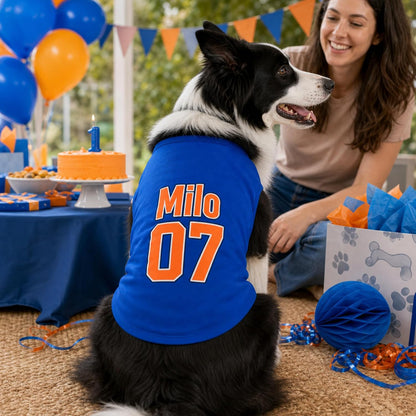 Border collie in a blue custom name and number pet shirt at a birthday party